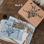 Spring Branch Series Stamps